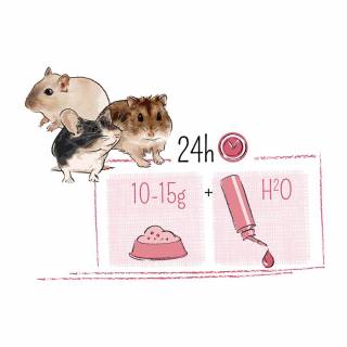 WITTE MOLEN PUUR Mini Hamsters 400g - musli dla chomików karłowatych